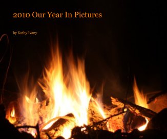2010 Our Year In Pictures book cover