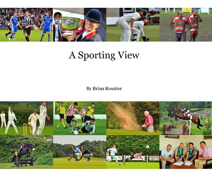 View A Sporting View by Brian Rossiter