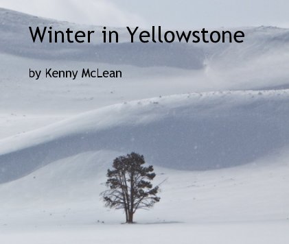Winter in Yellowstone book cover