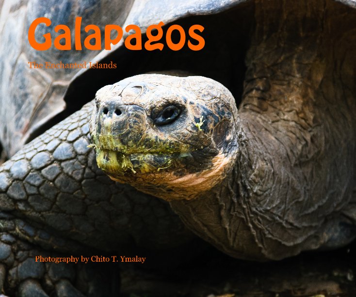 View Galapagos by Photography by Chito T. Ymalay