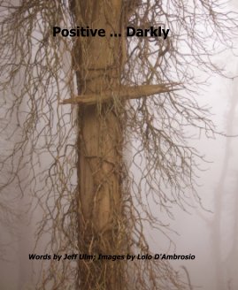 Positive ... Darkly book cover