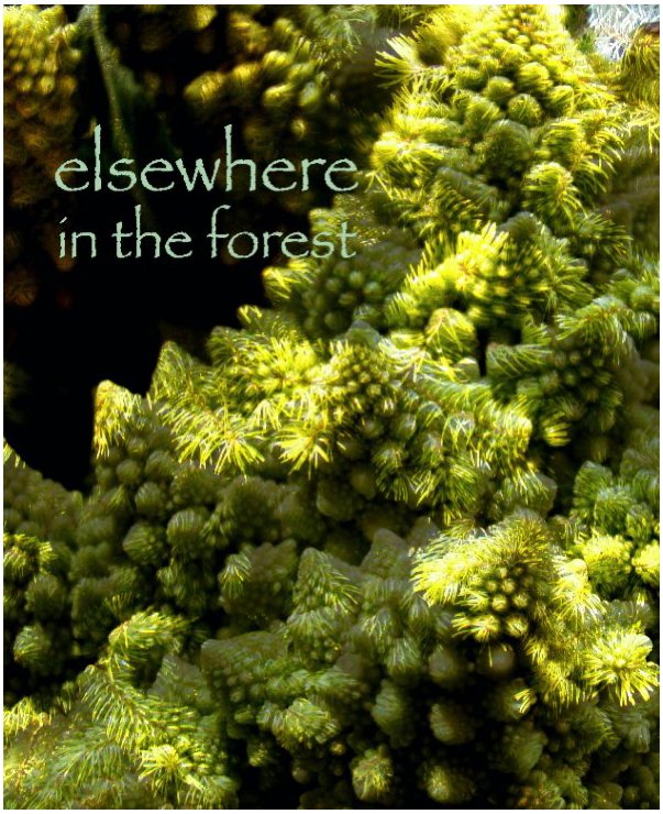 View elsewhere in the forest by William Hoard
