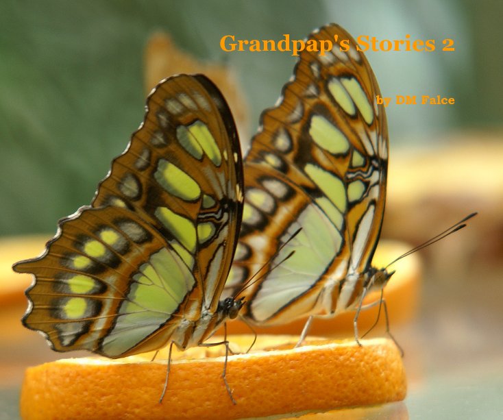 Visualizza Grandpap's Stories 2 di DM Falce