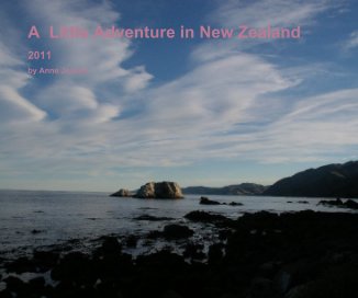 A Little Adventure in New Zealand book cover