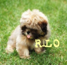 RILO book cover