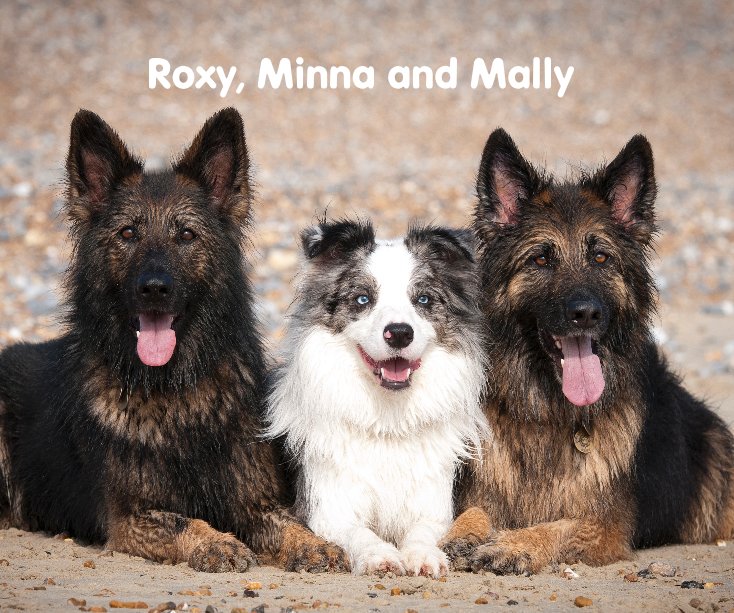Ver Roxy, Minna and Mally por Brighton Dog Photography