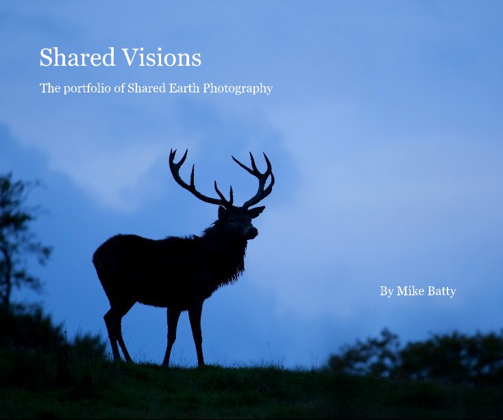 View Shared Visions by Mike Batty