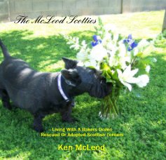 The McLeod Scotties book cover