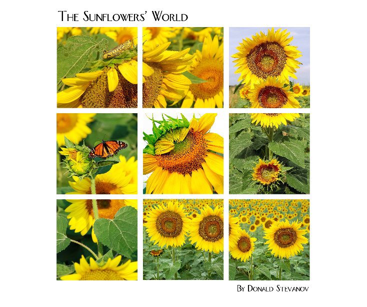 View The Sunflowers World by Donald Stevanov