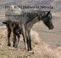 Free Wild Horses in Nevada book cover