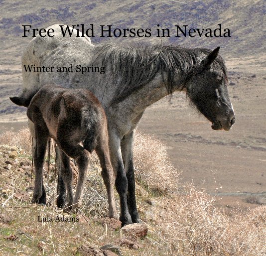 Visualizza Free Wild Horses in Nevada di Lula Adams