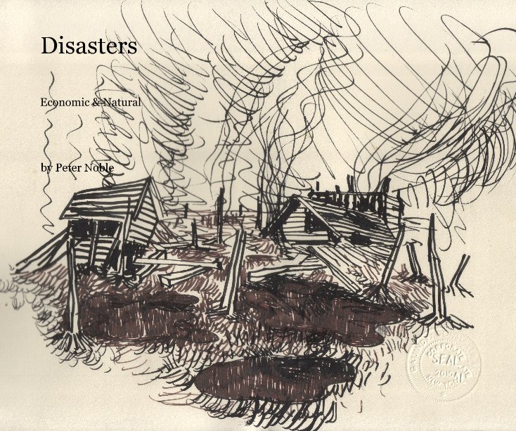 View Disasters by Peter Noble
