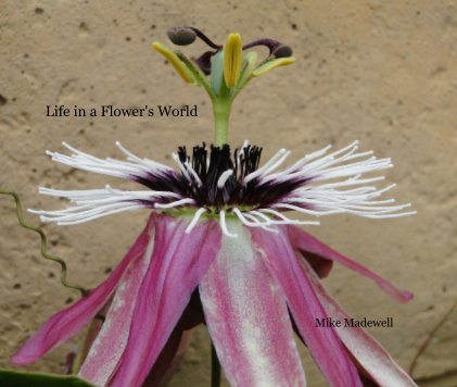 Life in a Flower's World book cover