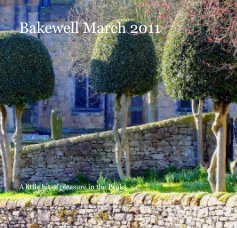 Bakewell March 2011 book cover