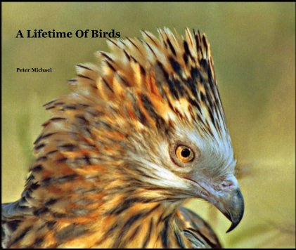 a lifetime of birds book cover