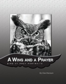 A Wing and A Prayer book cover