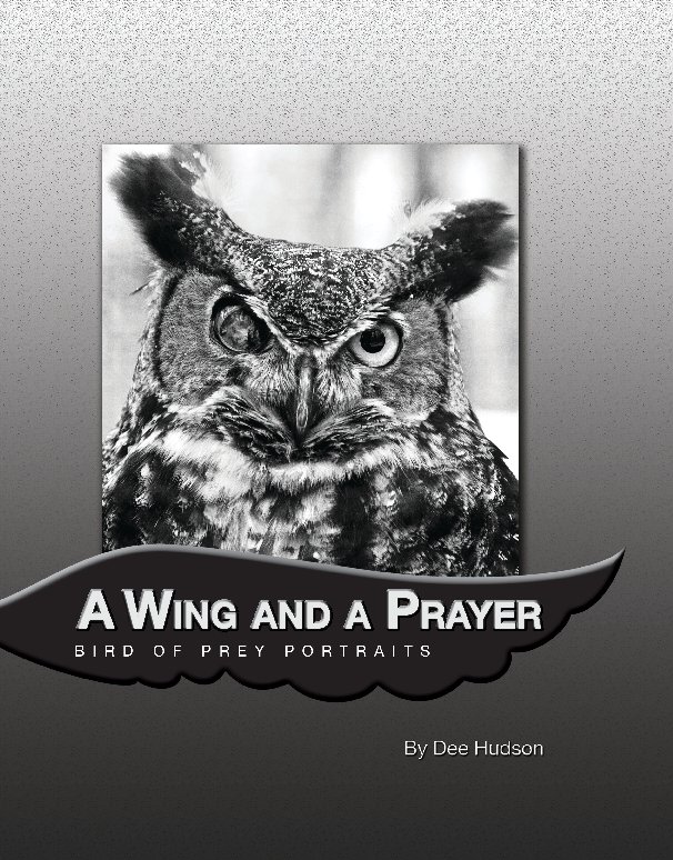 View A Wing and A Prayer by Dee Hudson