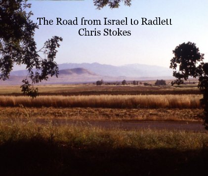 The Road from Israel to Radlett book cover