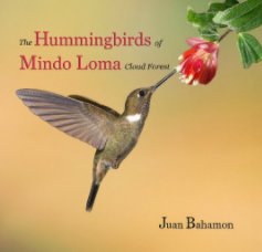 The Hummingbirds of Mindo Loma Cloud Forest Reserve book cover