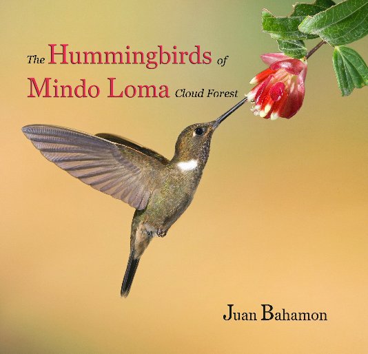 The Hummingbirds of Mindo Loma Cloud Forest Reserve nach Juan Bahamon anzeigen
