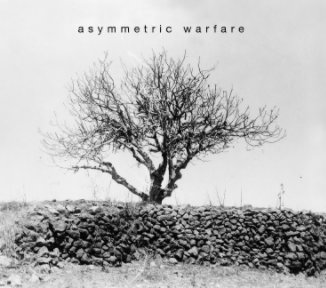 Asymmetric Warfare book cover