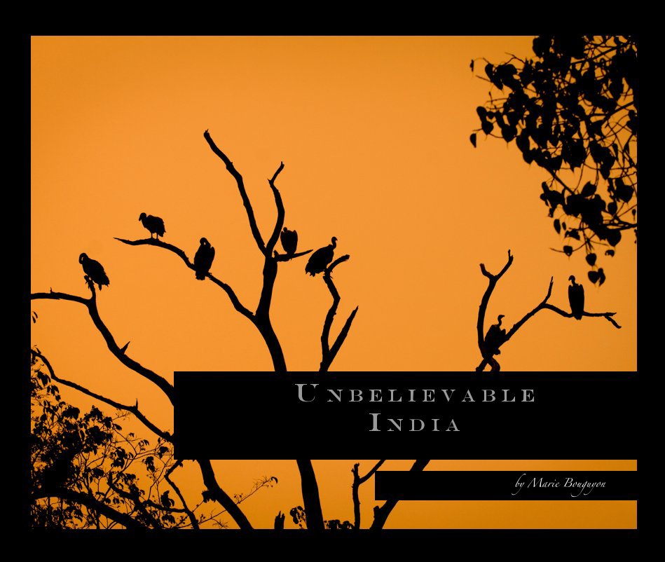 View Unbelievable India by Marie Bouguyon