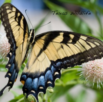 Texas Wildlife book cover