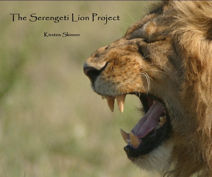 View The Serengeti Lion Project by Kirsten Skinner