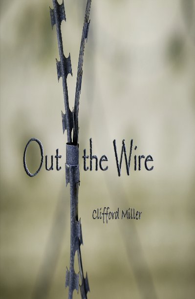 View Out the Wire by Clifford Miller