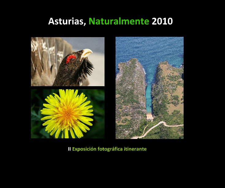 Ver Asturias, Naturalmente 2010 por AFONAS