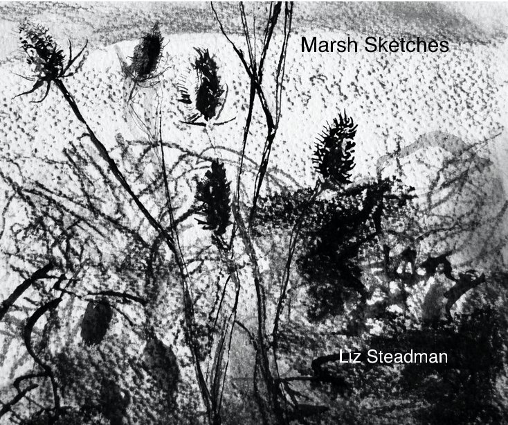 View Marsh Sketches by Liz Steadman