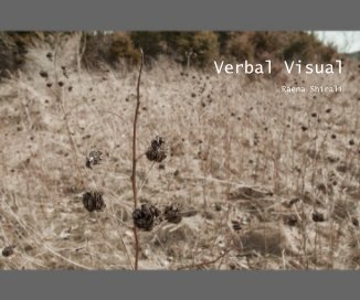 Verbal Visual book cover