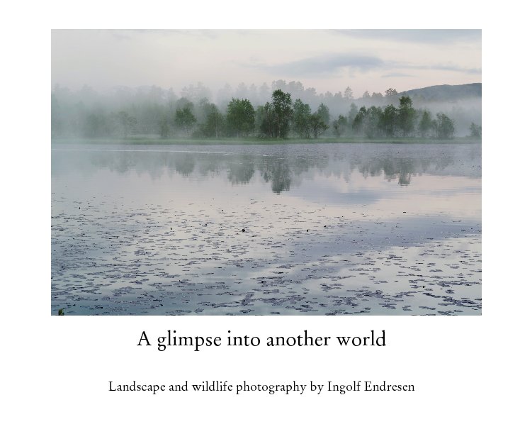 View A glimpse into another world by Ingolf Endresen