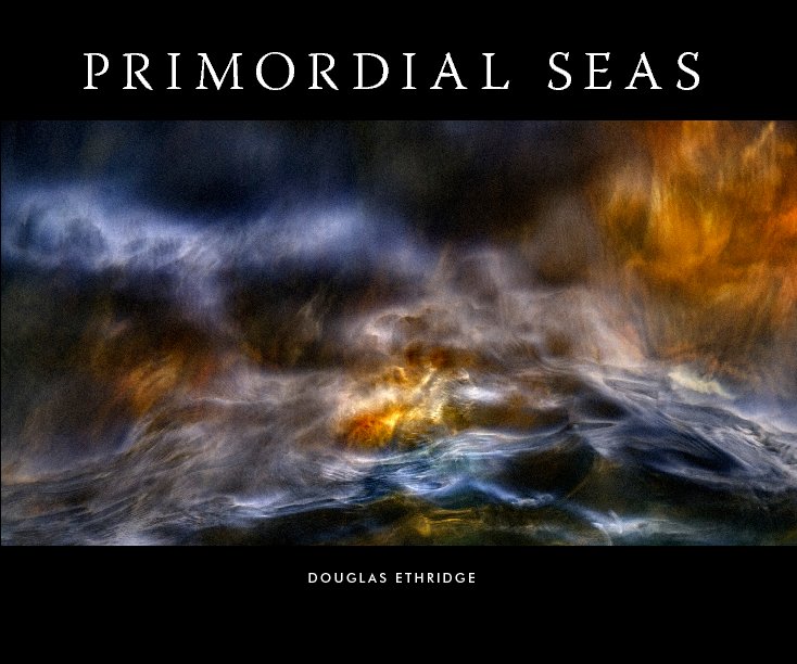 View Primordial Seas 2011 by Douglas Ethridge