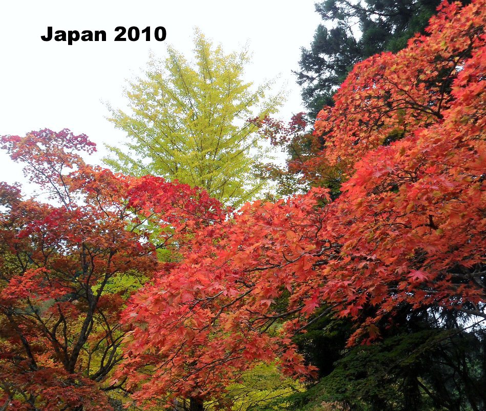 Bekijk Japan 2010 op Max Freedman