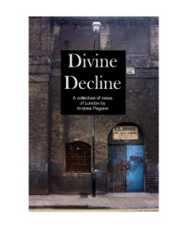Divine Decline book cover