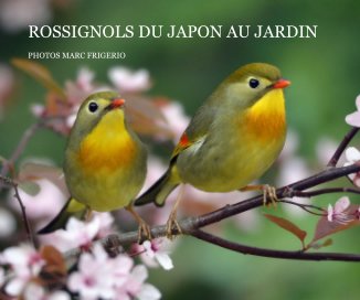 ROSSIGNOLS DU JAPON AU JARDIN book cover