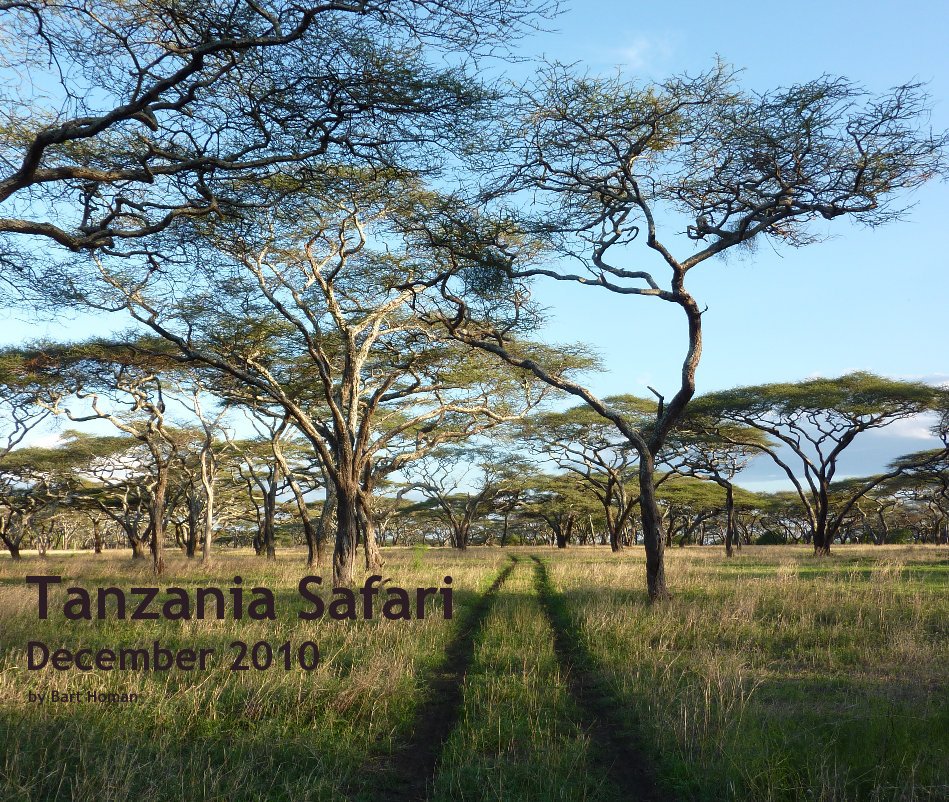 View Tanzania Safari December 2010 by Bart Homan