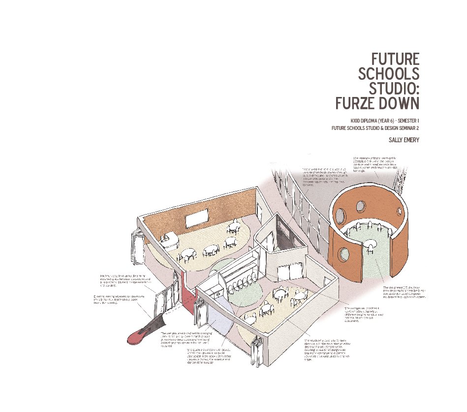 View FUTURE SCHOOLS: FURZE DOWN by SALLY EMERY