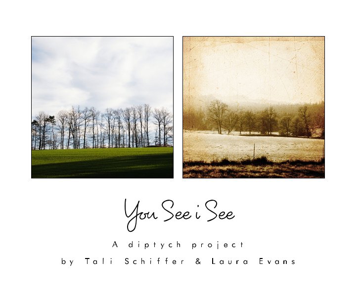 View You See i See by Tali Schiffer & Laura Evans