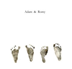 Adam & Romy book cover