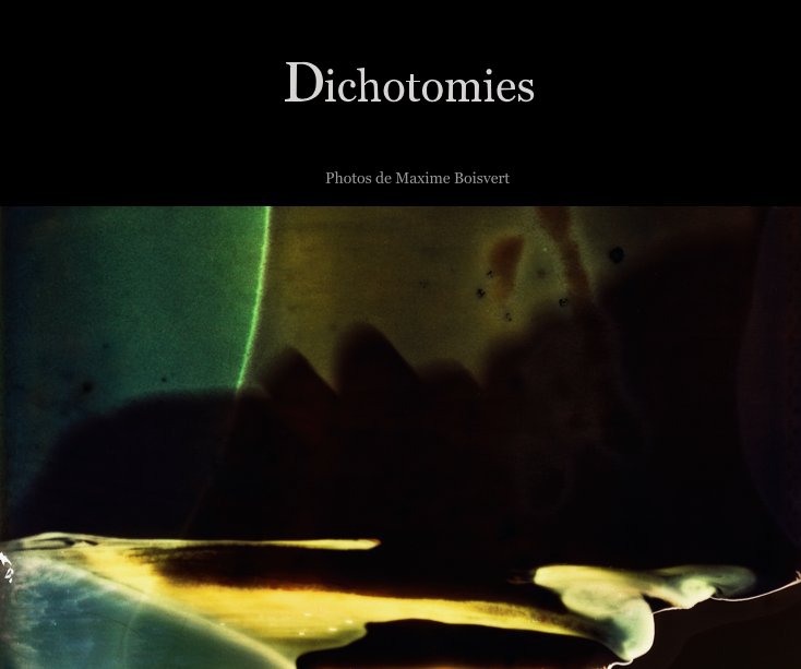 View Dichotomies by Maxime Boisvert