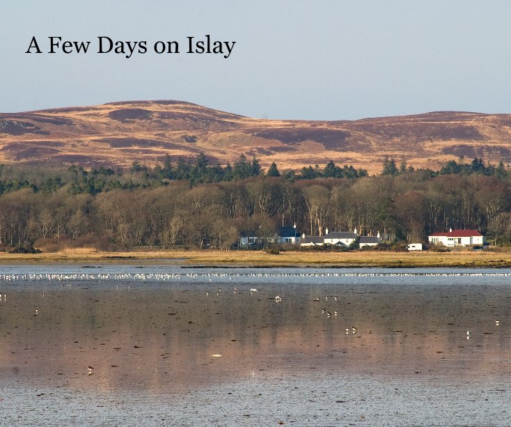 Visualizza A Few Days on Islay di David Jones