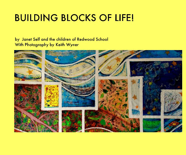 View BUILDING BLOCKS OF LIFE! by Janet Self and the children of Redwood School With Photography by Keith Wyner