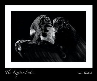 The Raptor Series book cover