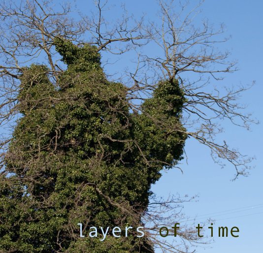 Bekijk Layers of Time op Amy Ruocco