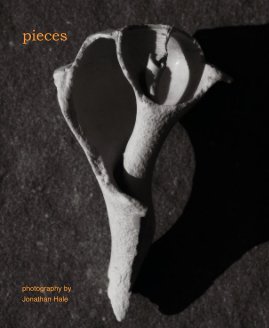 pieces book cover