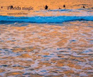 Florida magic book cover