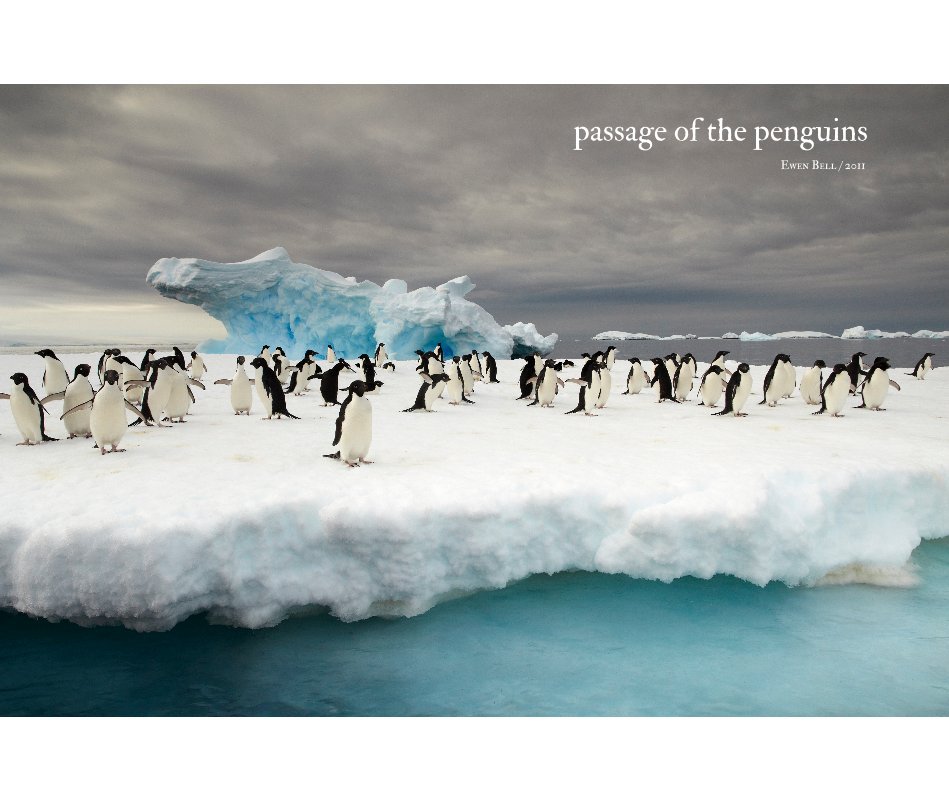 View Passage of the Penguins by Ewen Bell