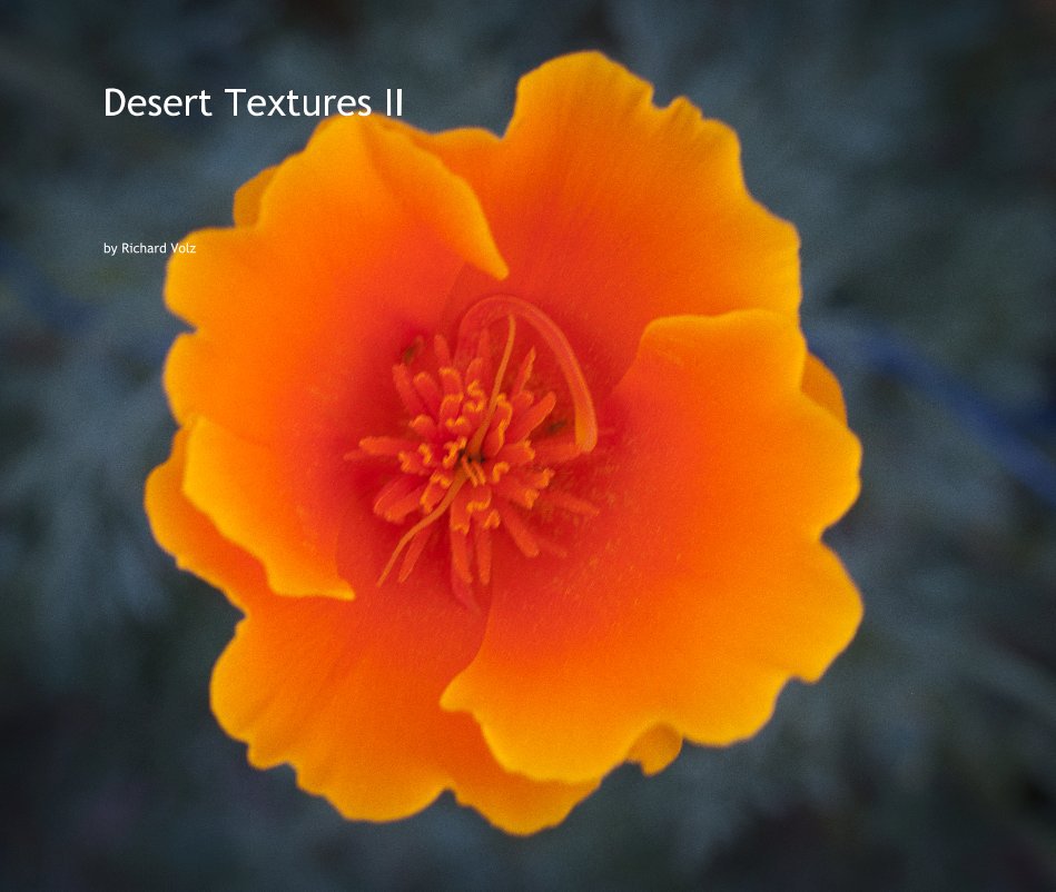 View Desert Textures II by Richard Volz